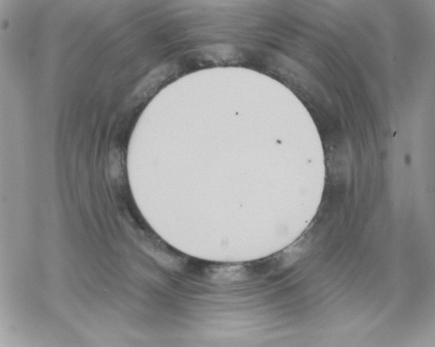 X0000069380132200606021616