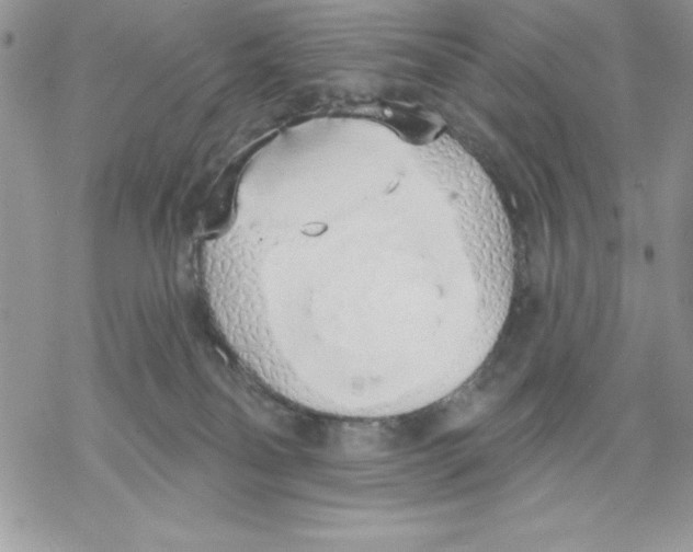 X0000069380134200606021616