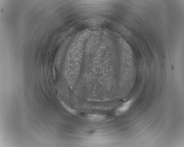 X0000069380137200606021616