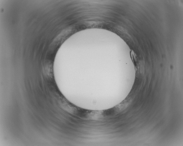 X0000069380138200606021616