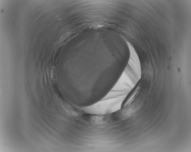 X0000069380139200606021616