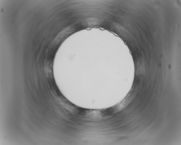 X0000069380140200606021616