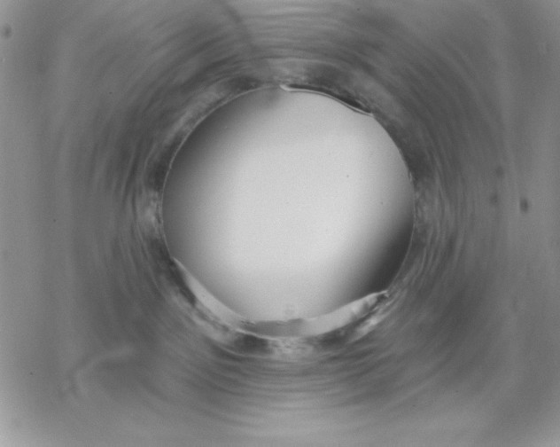 X0000069380141200606021616