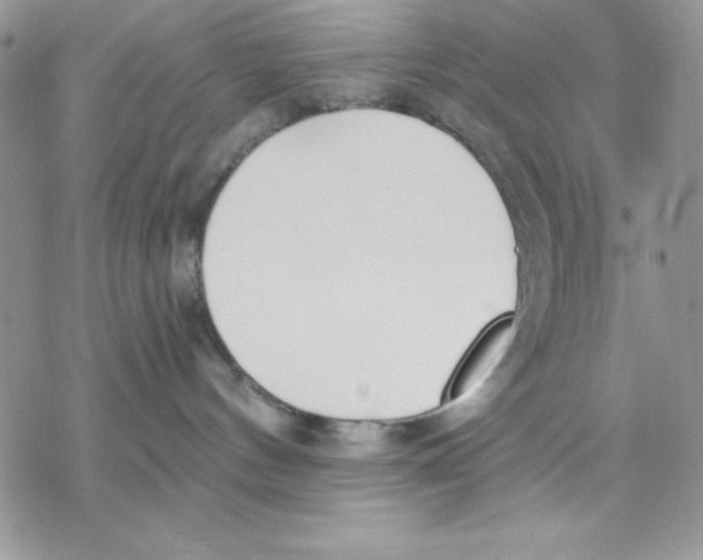 X0000069380144200606021616