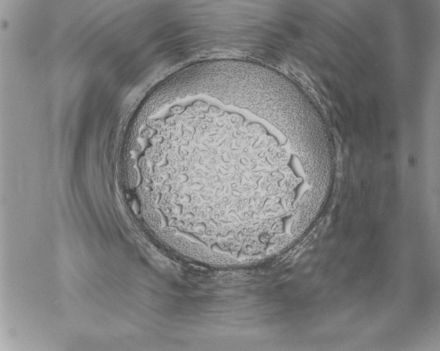 X0000069380145200606021615