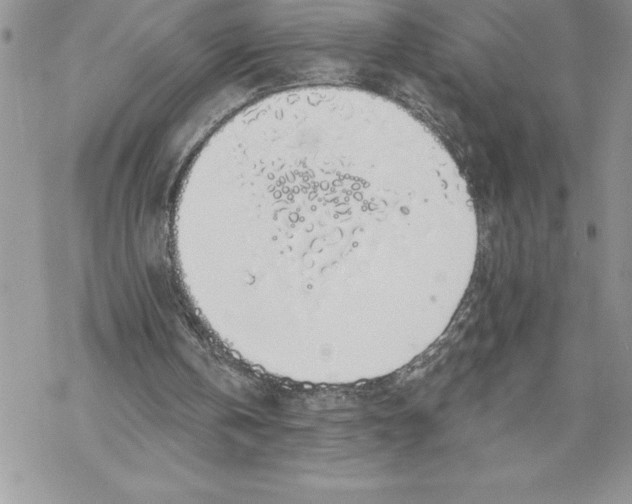 X0000069380146200606021615