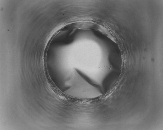 X0000069380148200606021615