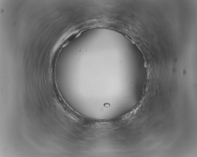 X0000069380150200606021615