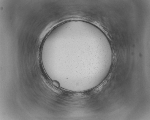 X0000069380151200606021615