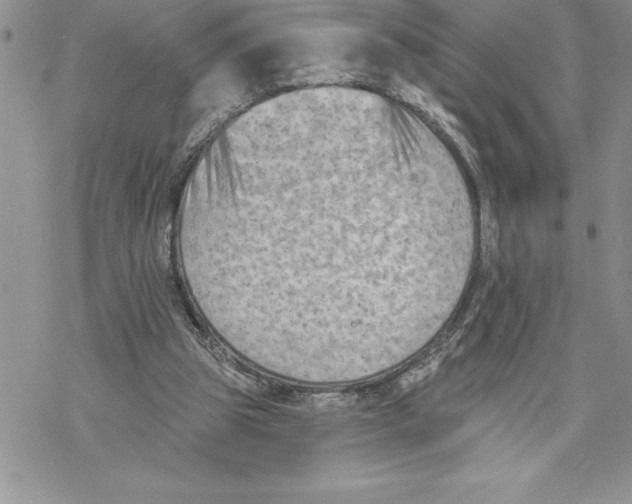 X0000069380153200606021615