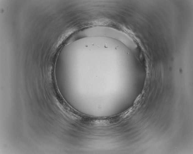 X0000069380154200606021615