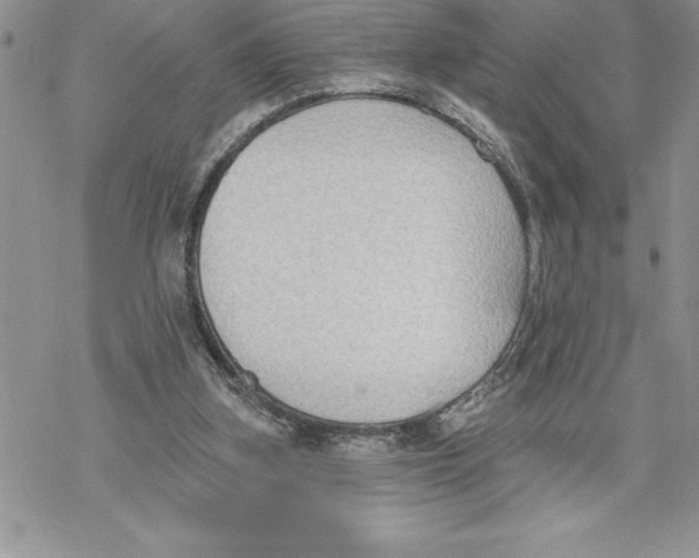 X0000069380155200606021615