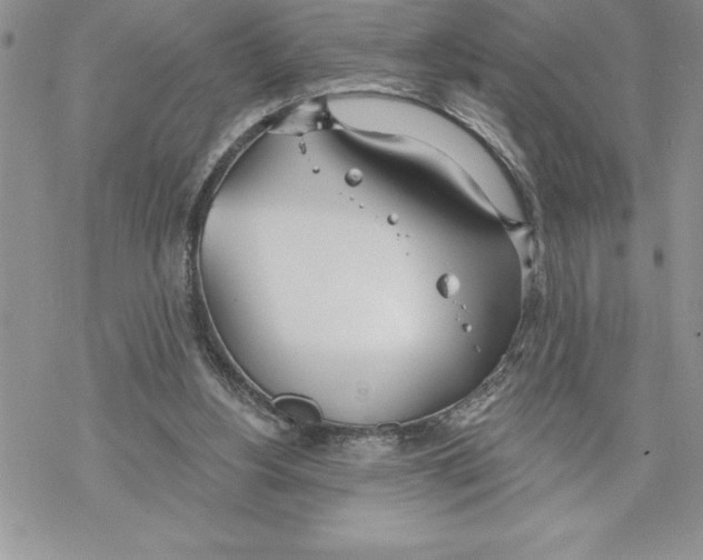 X0000069380156200606021615