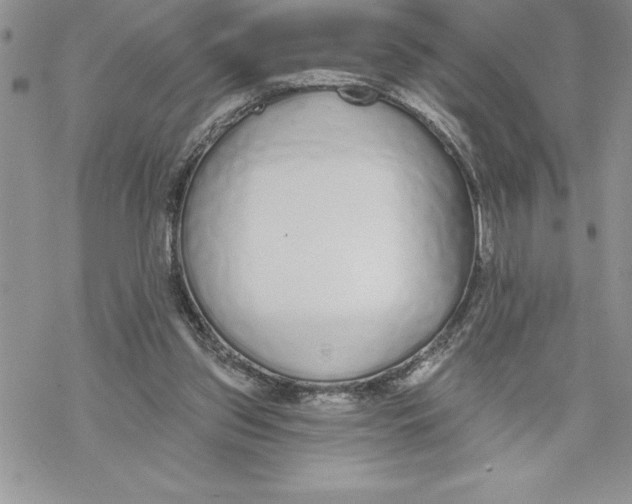 X0000069380157200606021615