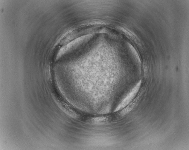 X0000069380158200606021615