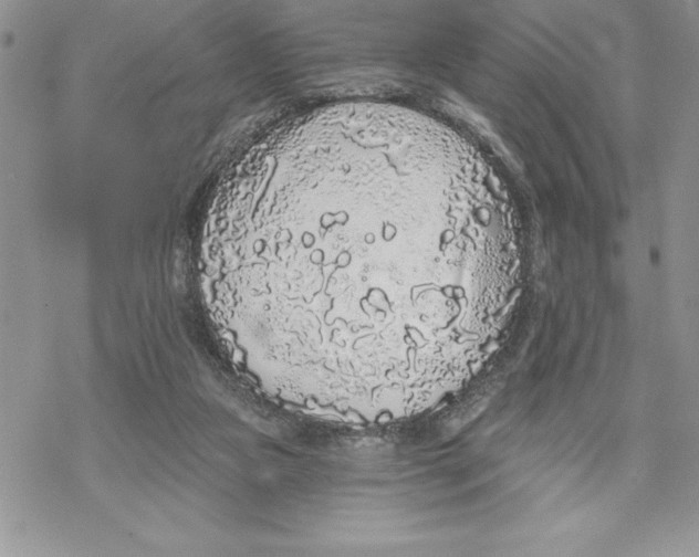 X0000069380161200606021616