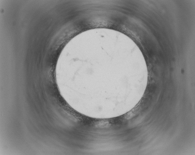 X0000069380162200606021616