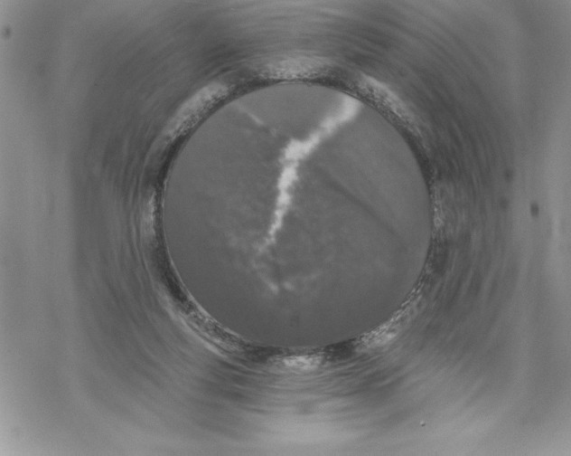 X0000069380163200606021616