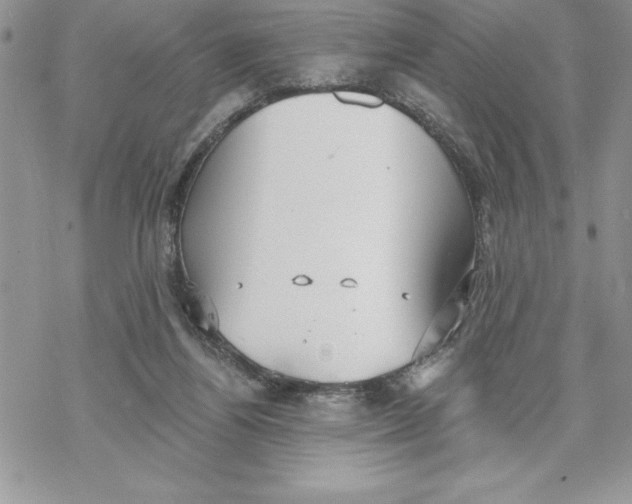 X0000069380164200606021616