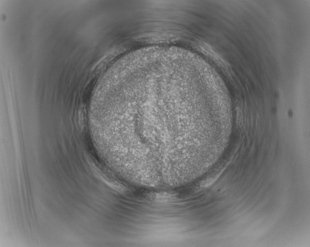 X0000069380165200606021616