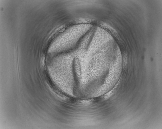 X0000069380166200606021616