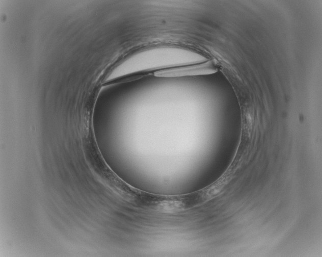 X0000069380168200606021616