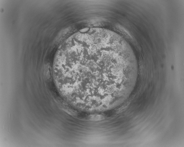 X0000069380169200606021616