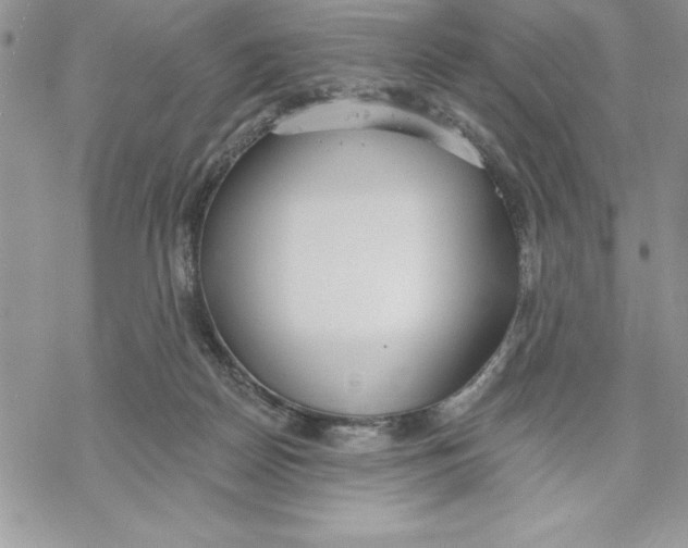 X0000069380170200606021616