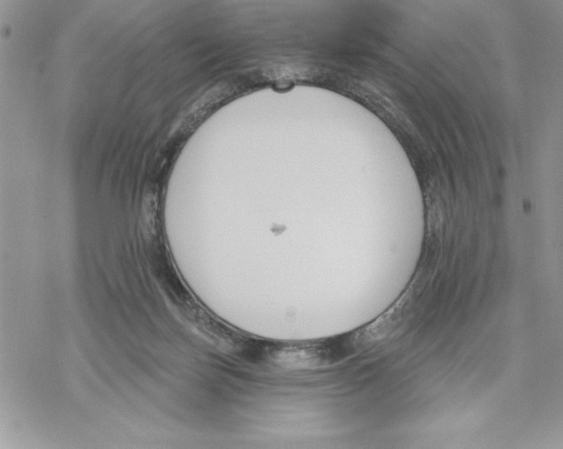 X0000069380171200606021616