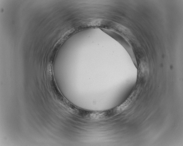 X0000069380172200606021616