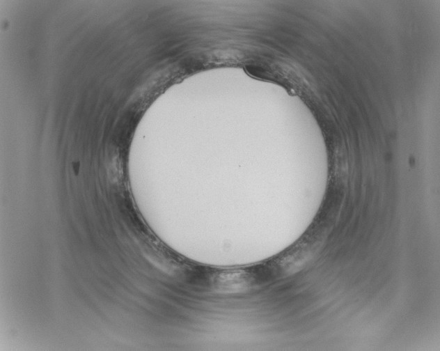 X0000069380173200606021616