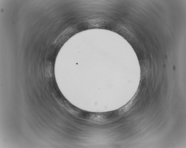 X0000069380174200606021616