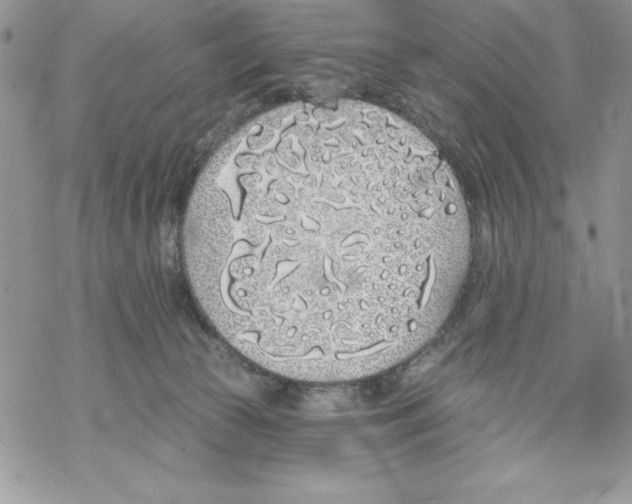 X0000069380177200606021616