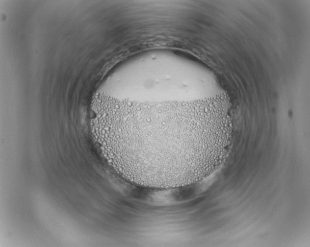 X0000069380178200606021616