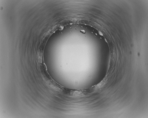 X0000069380180200606021616