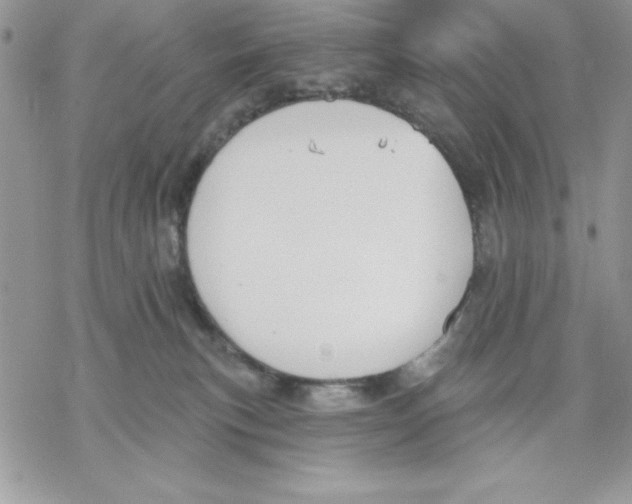 X0000069380183200606021616