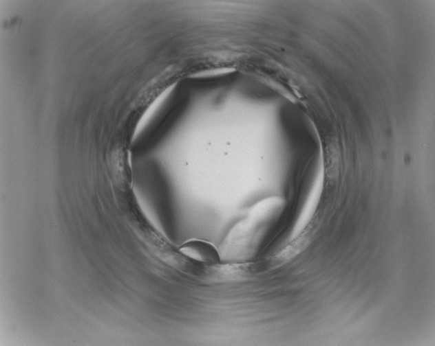 X0000069380184200606021616