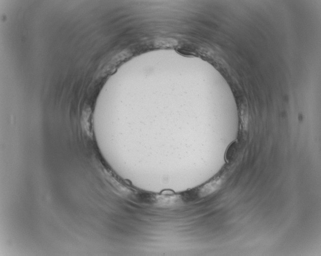 X0000069380185200606021616