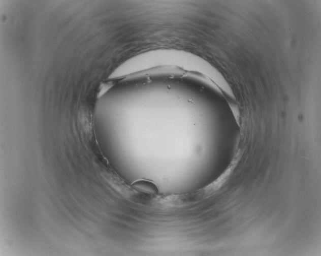 X0000069380186200606021616