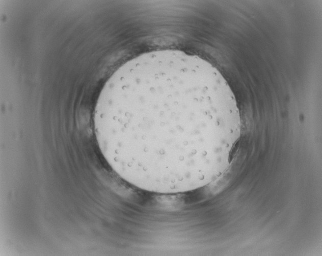 X0000069380187200606021616