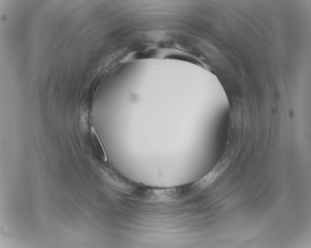 X0000069380188200606021616