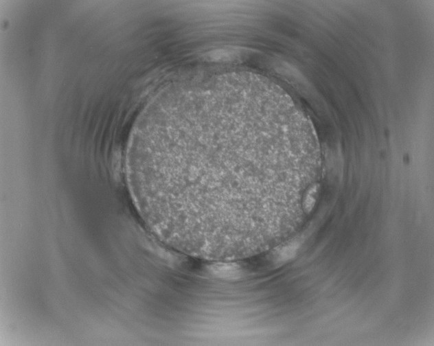 X0000069380189200606021616