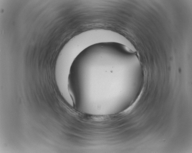 X0000069380190200606021616