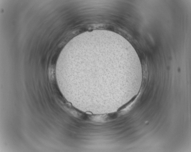 X0000069380191200606021616