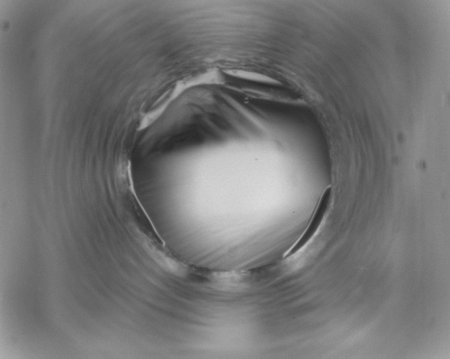 X0000069380192200606021616