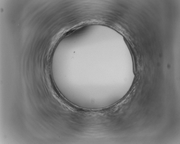 X0000069380193200606021615