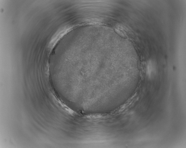 X0000069380194200606021615