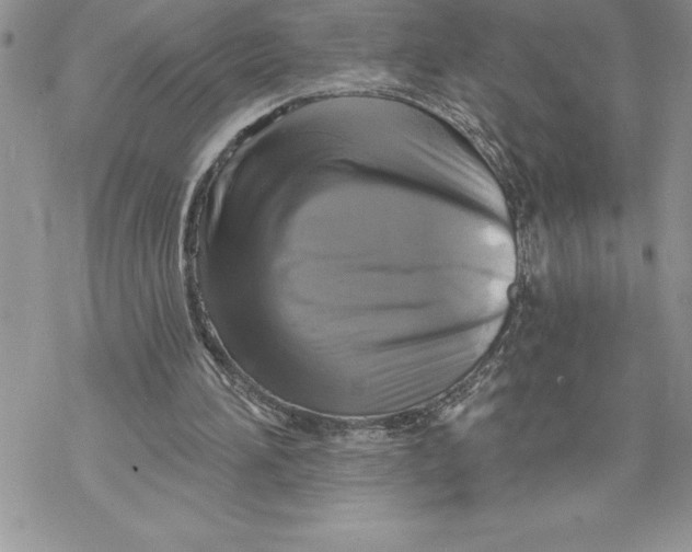 X0000069380196200606021615