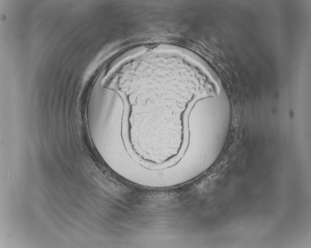 X0000069380198200606021615