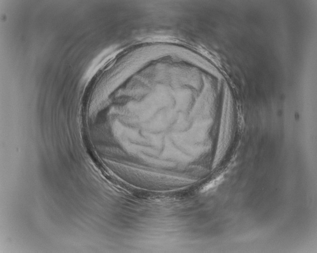 X0000069380199200606021615